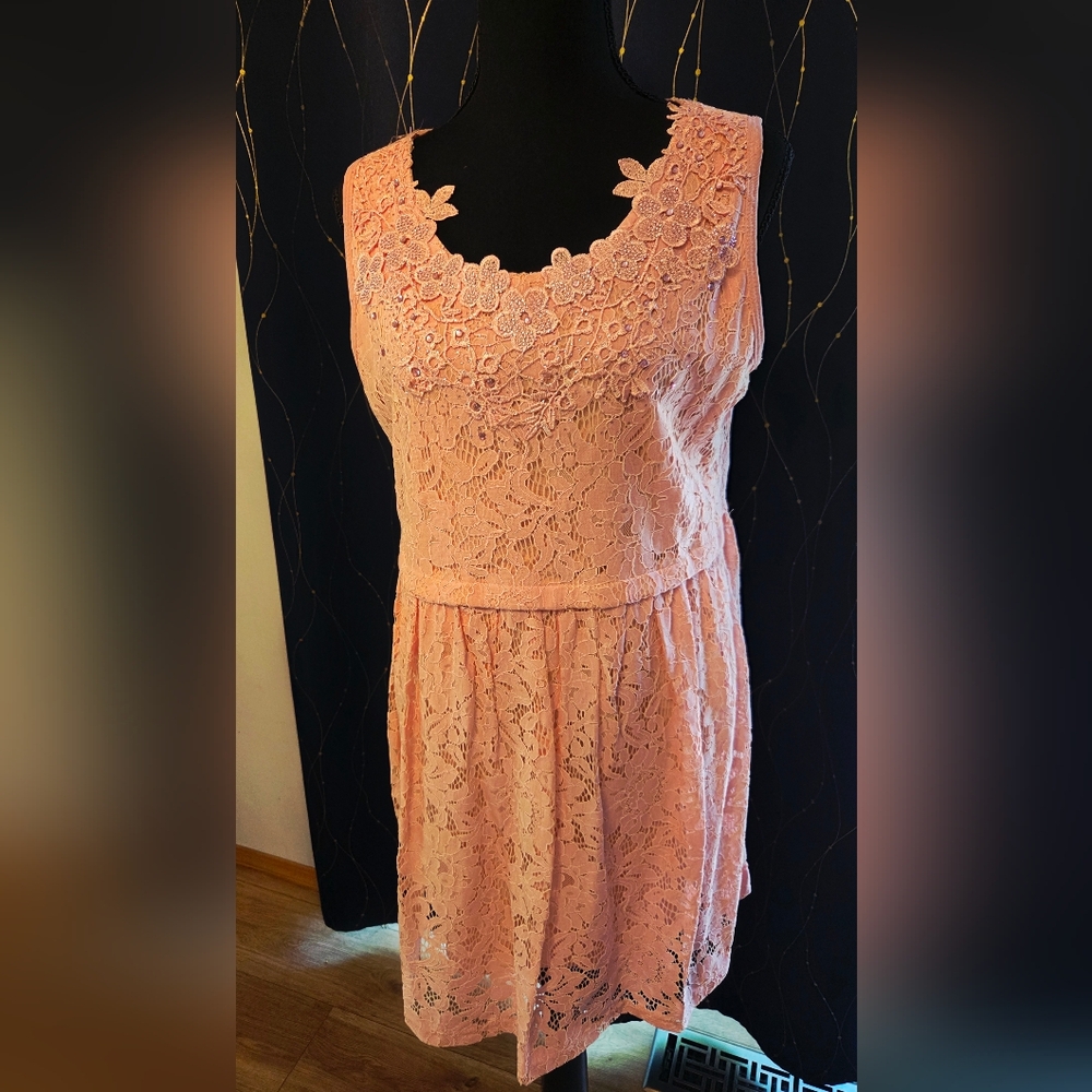 Simply Couture Pink Lace Mini Dress